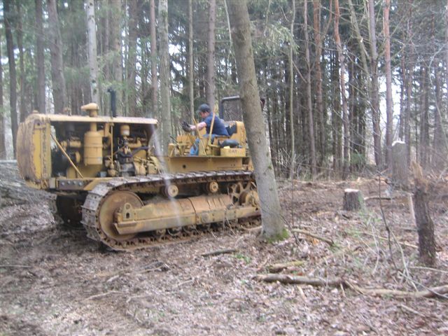 Clearing for the Building