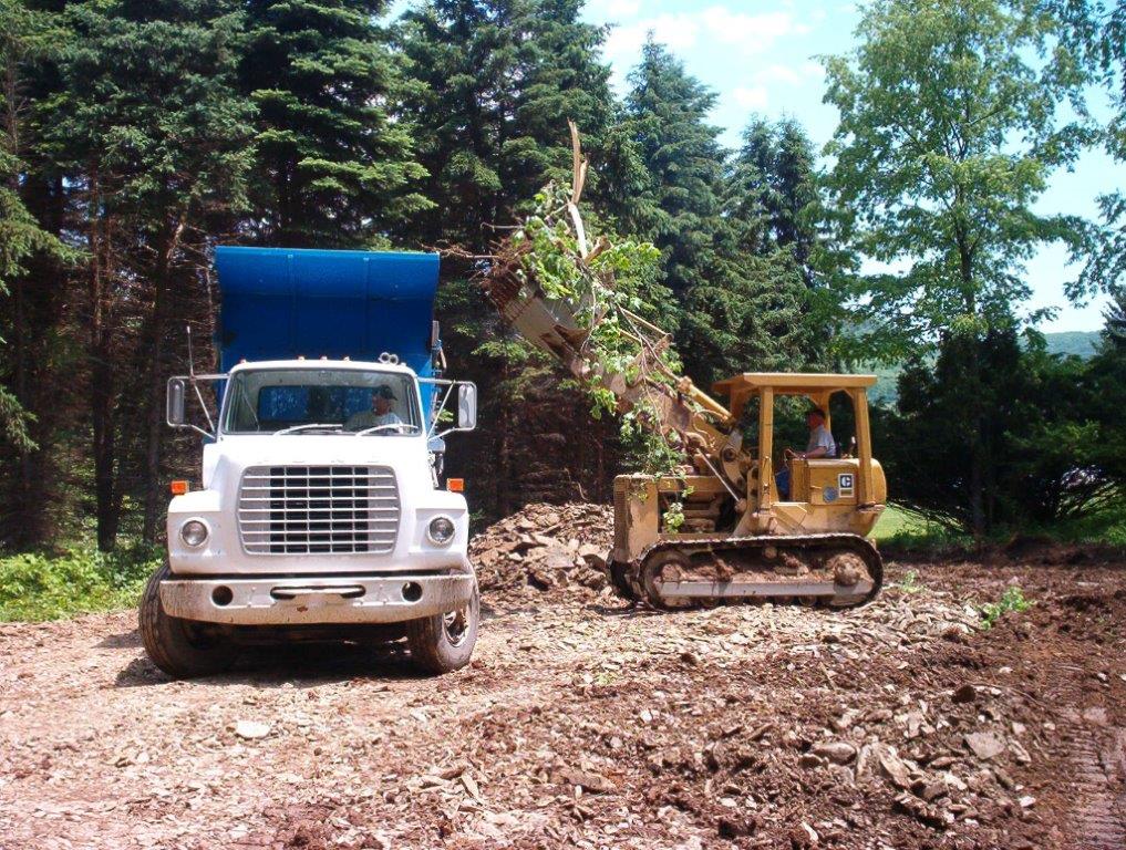 Clearing Site June 2005