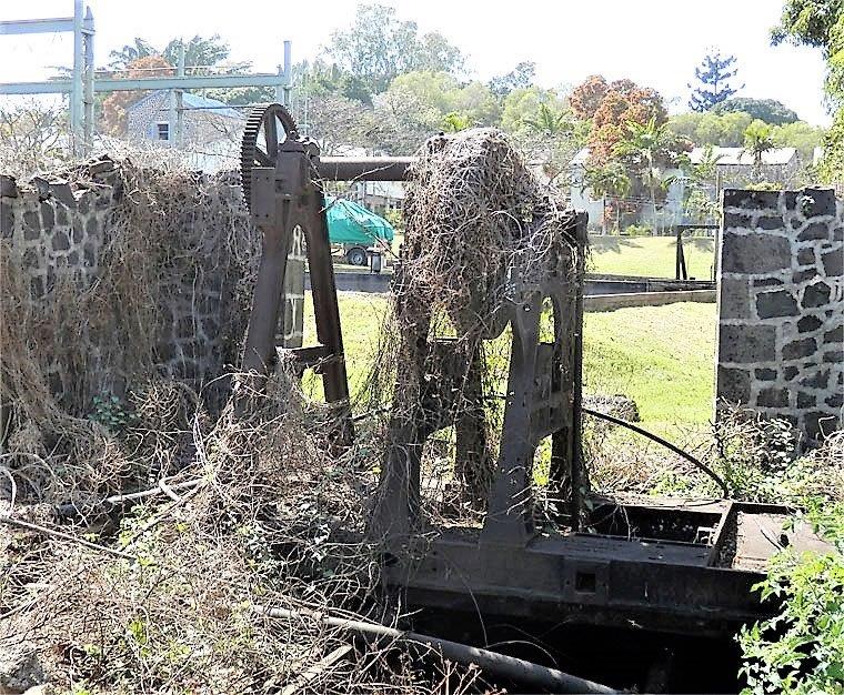 Robinson Sugar Cane Machine